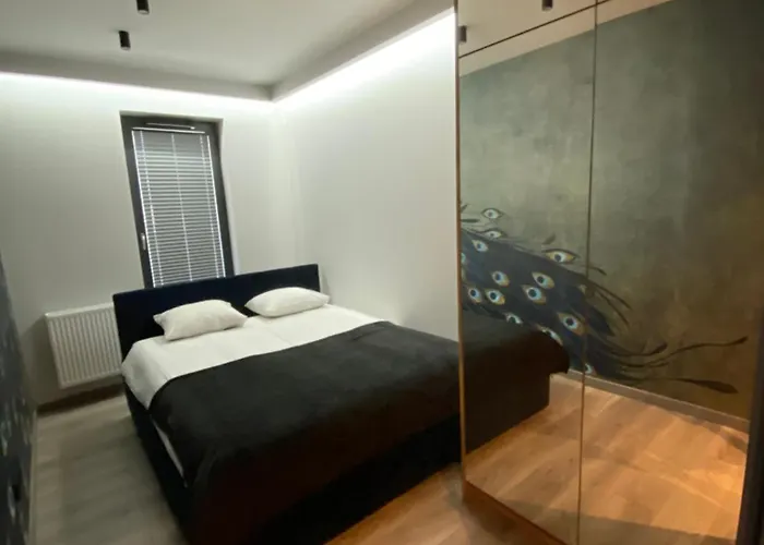 Beautiful Apartment- Free Garage- Wislane Tarasy